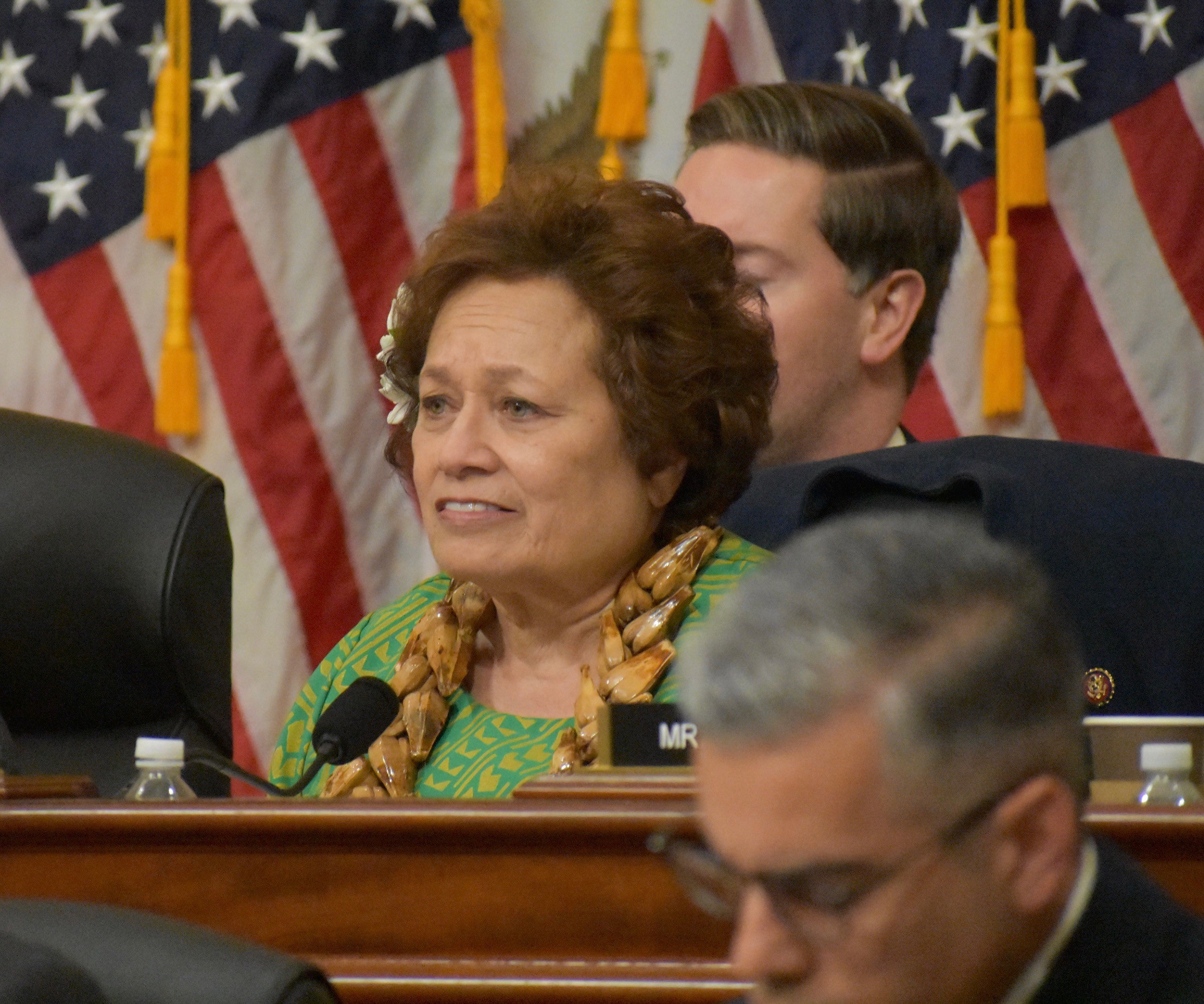 Vice Chairman Amata in the Veterans Committee during the 118th Congress