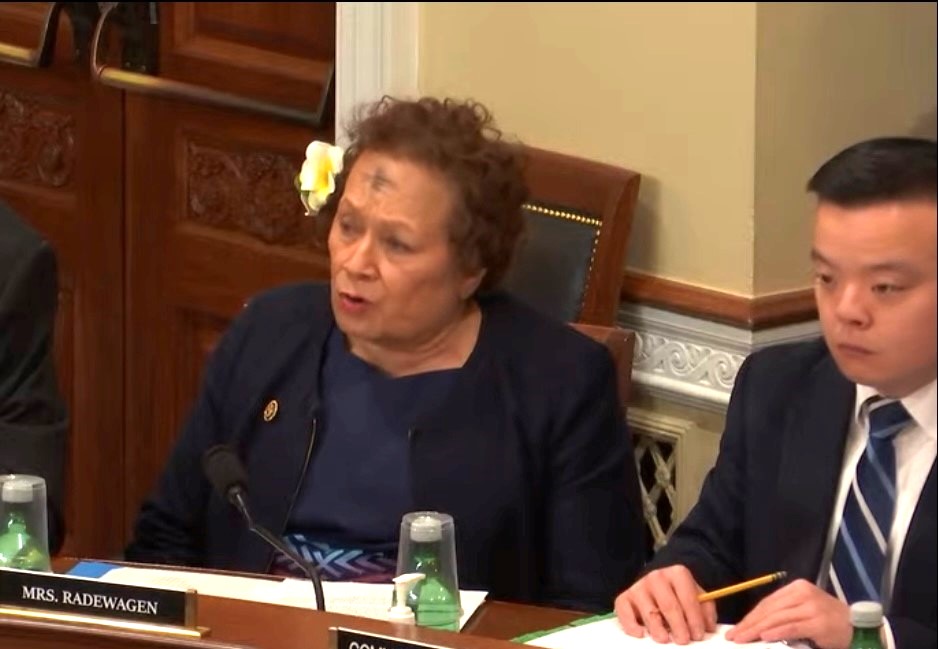 Congresswoman Amata in Wednesday's hearing with HNR Professional Staffer Justin Rhee also pictured