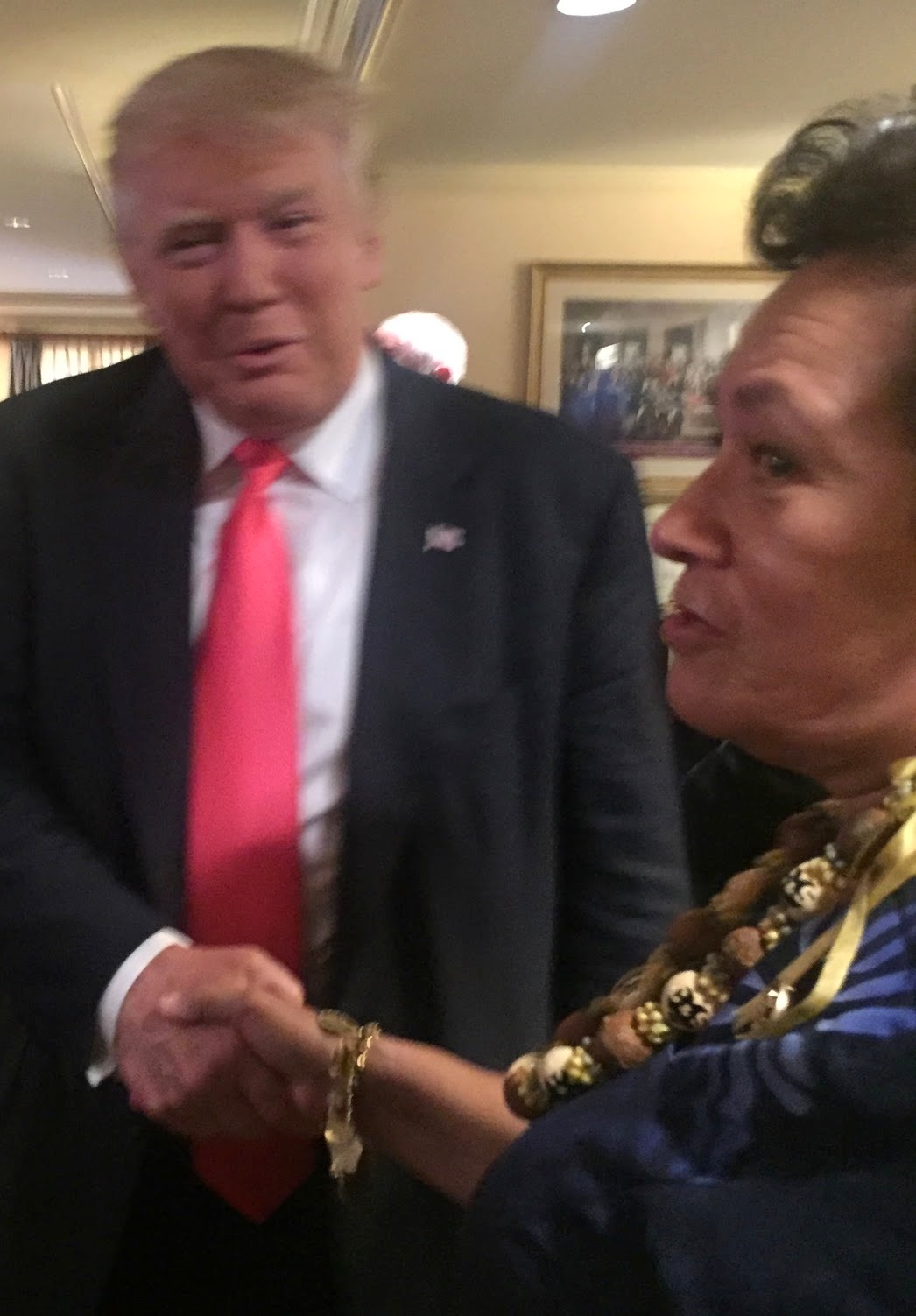 Amata and Trump