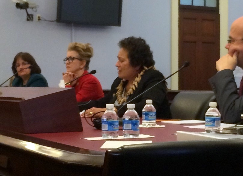 Amata at Budget Comm 1