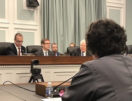 Amata at Members Day Hearing