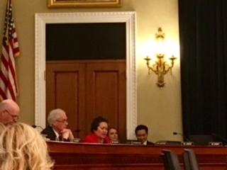 Amata poses question to witness panel in Wildfire Hearing