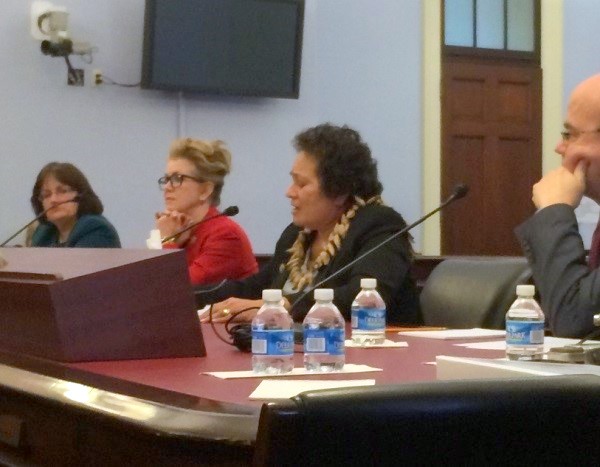 Amata testifies before Approps Subcomm