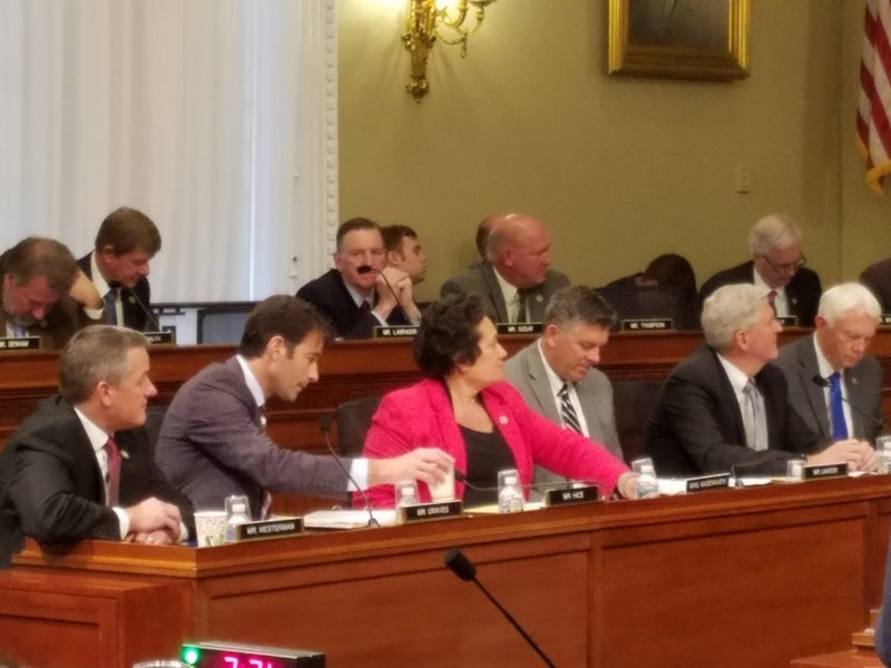 Amata votes in Natural Resources Committee