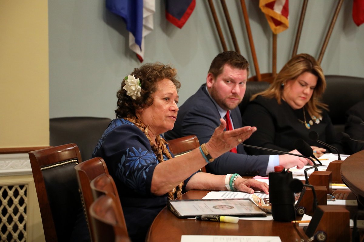 Congresswoman Amata speaking in Medicaid hearing