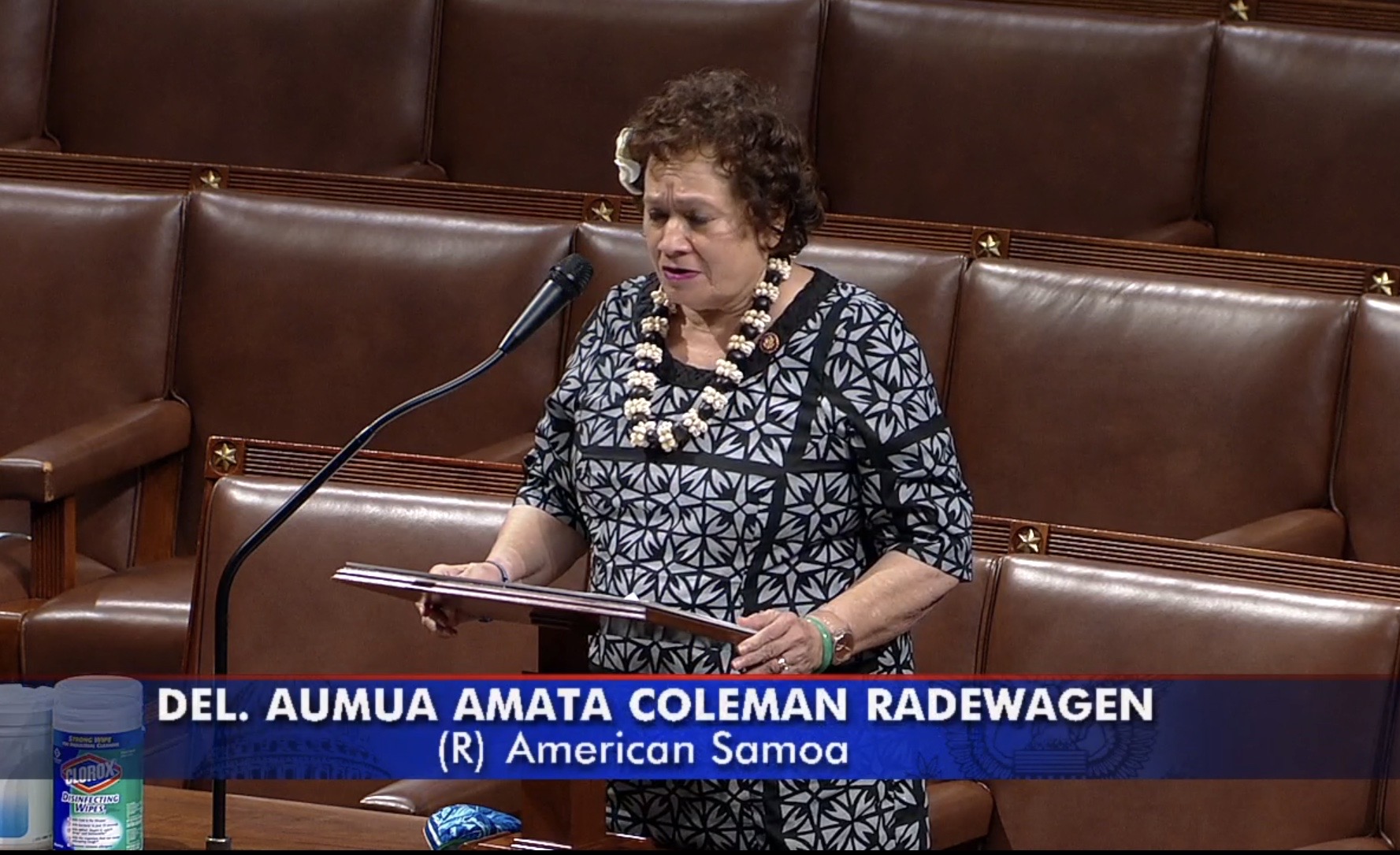 Congresswoman Amata speaking on the House floor in support of her bill HR 8229