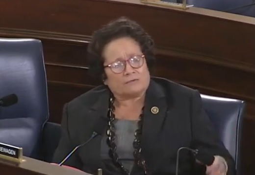 Vet Suicide Hearing