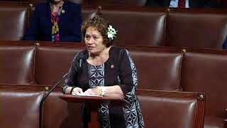 Amata on the House Floor