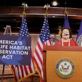 Amata highlighting American Samoa's wildlife