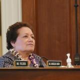 Amata in Committee work on Thursday