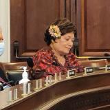 Congresswoman Amata in Committee (file photo)