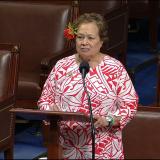 Congresswoman Amata speaking in the House on protecting religious freedoms worldwide