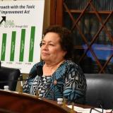 Recent Veterans' Subcommittee hearing