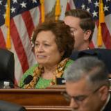 Vice Chairman Amata in the Veterans Committee during the 118th Congress