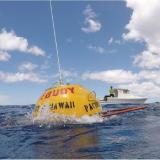Wave buoys like these are essential instruments in ocean observing and there are over 600 assets