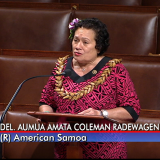 Congresswoman Amata in House floor speech supporting Navy Blue Water Veterans (file photo)