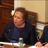 Congresswoman Amata in Wednesday's hearing with HNR Professional Staffer Justin Rhee also pictured