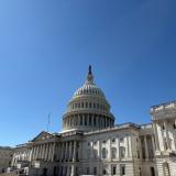 The US Capitol on a rare warm day earlier this March
