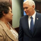 Amata and VP