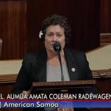 Amata on Floor Speaking on Filipino WWII Vet Bill