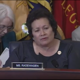 Amata questions a witness at a veterans hearing earlier this week