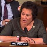 Congresswoman Amata in Committee earlier this year