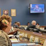 Congresswoman Amata in a Small Business Committee vote early in 2020