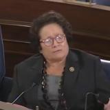 Vet Suicide Hearing