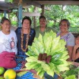 Amata and Entrepreneurs