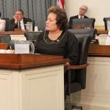 Amata at Medicaid hearing