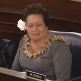 Amata questioning at VA hearing