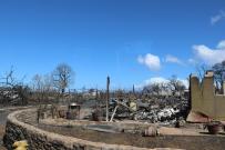 Maui devastation