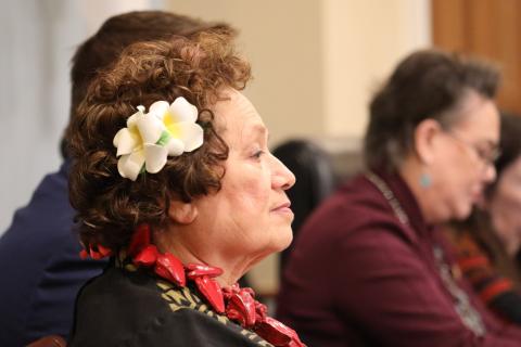 Amata in the Subcommittee hearing on HR 6062 earlier this year with Chairwoman Harriet Hageman