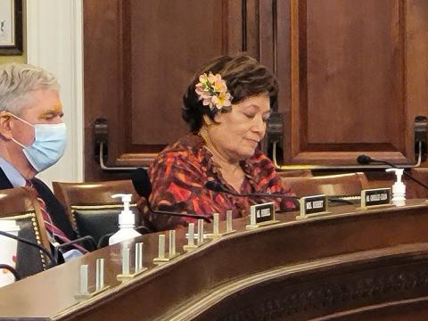 Congresswoman Amata in Committee (file photo)