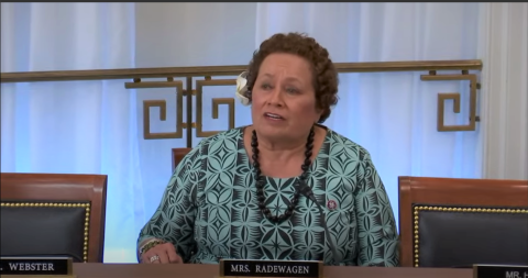 Congresswoman Amata in hearing as Committee received Governor's testimony