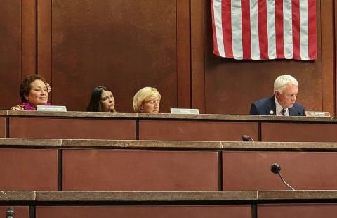 Congresswoman Amata in the Veterans' Health Subcommittee this week