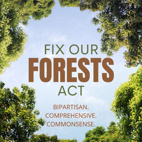 Fix our forests