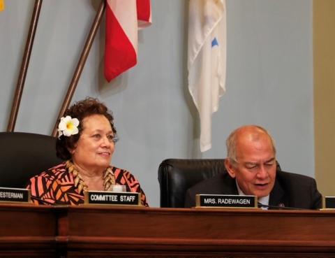 Pictured chairing the first hearing of the Natural Resources Committee’s Indo-Pacific Task Force in 2023