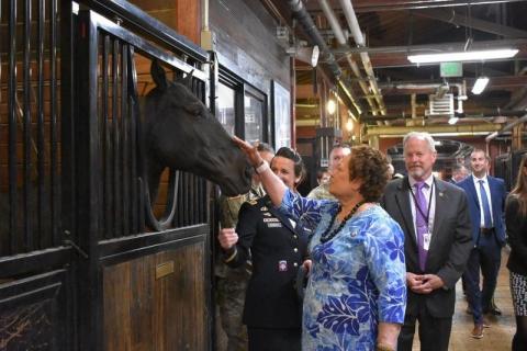 Touring the Caisson Stables