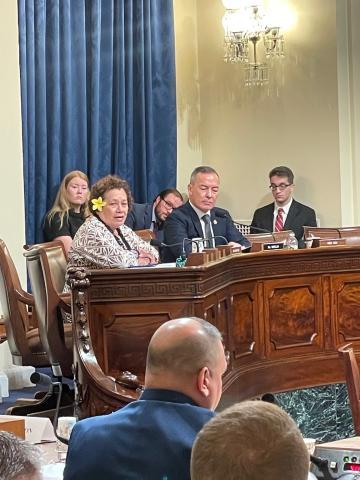 Amata in a Coast Guard hearing last Congress