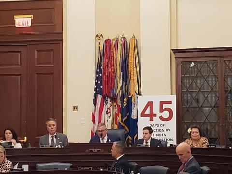 Amata in VA Committee hearing 11 January 2024