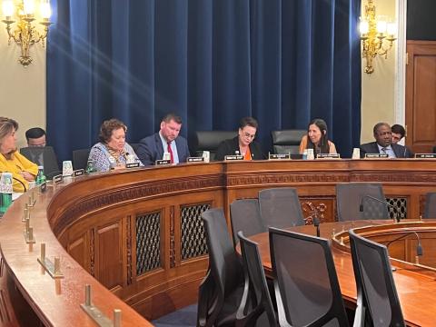 Amata speaking in Tuesday's hearing