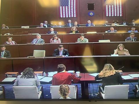 Amata (to left side of photo) in Foreign Affairs Committee this week