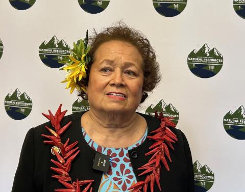 Congresswoman Amata recently at the Natural Resources Committee