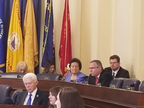 Congresswoman Amata seated beside Chairman Bost in Committee (file photo)