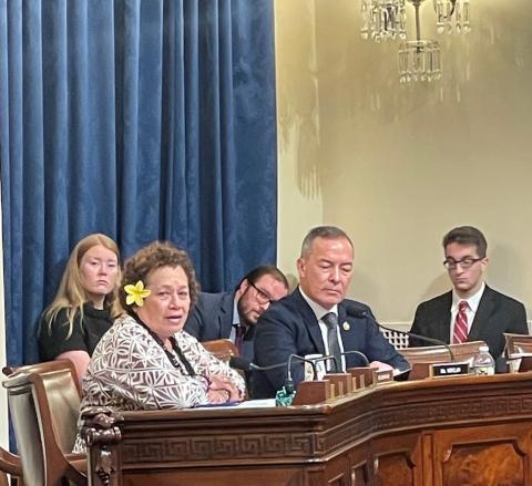 Congresswoman Amata speaking in a Coast Guard hearing in the 118th Congress - file photo