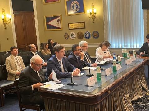 Expert witnesses with American Samoa's flag visible in background
