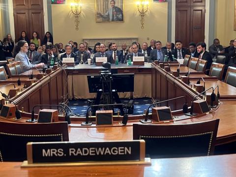 Task Force hearing room with witness panel