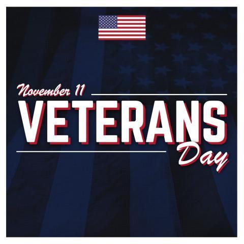 vet day poster