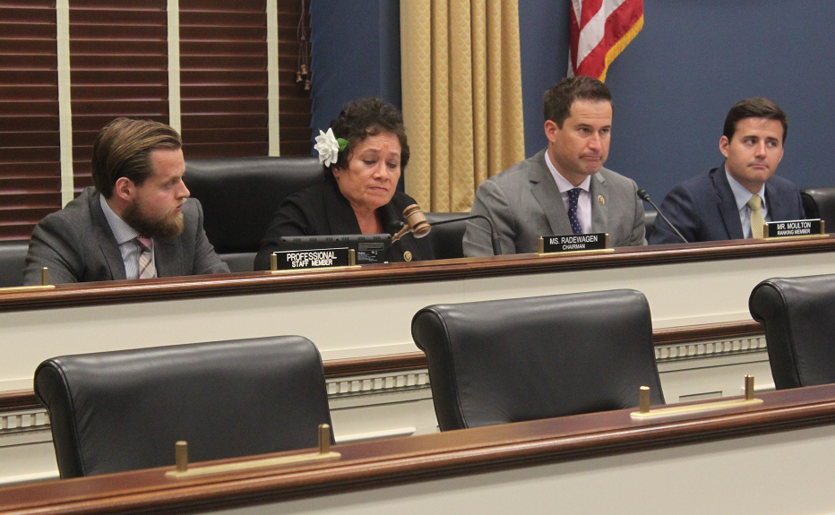 Congresswoman Amata / Chairman of the House Small Business Subcommittee on Health &amp; Technology, gavels in the first hearing of the session